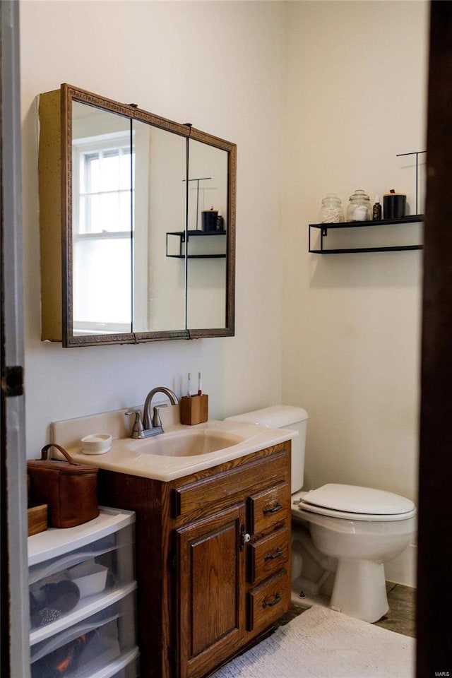 bathroom with toilet and vanity