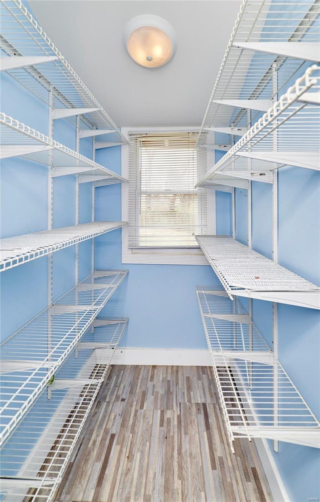 walk in closet with wood finished floors