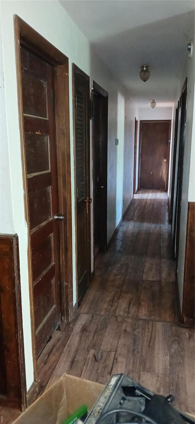 hall featuring dark wood-style floors