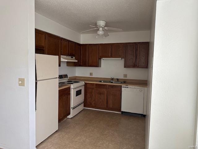 kitchen with a ceiling fan, under cabinet range hood, a sink, a textured ceiling, and white appliances
