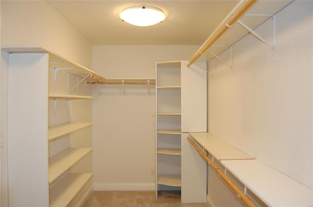 walk in closet with light carpet