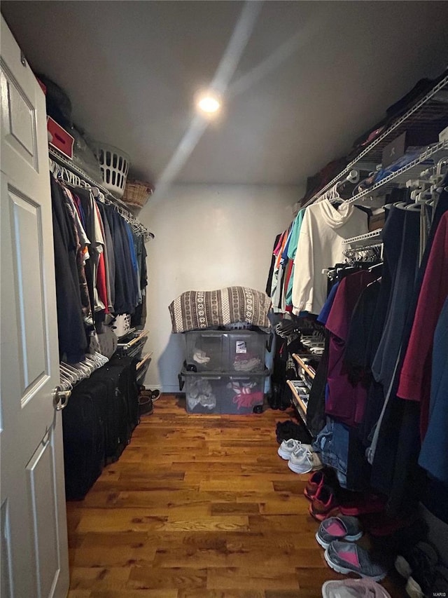 spacious closet featuring wood finished floors