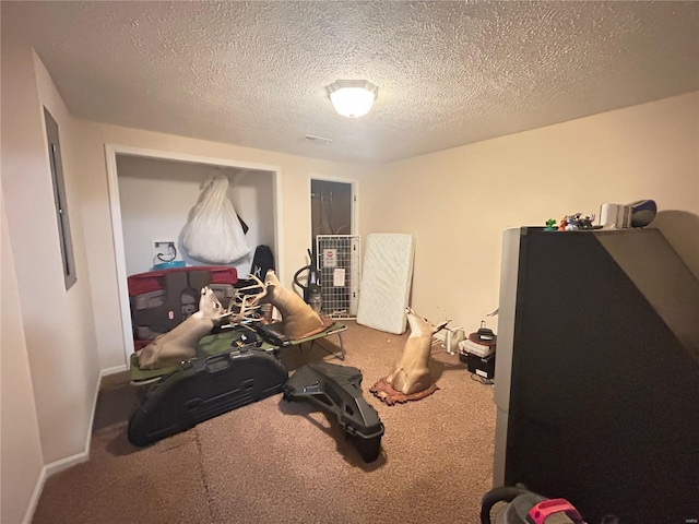 exercise room featuring baseboards, carpet floors, and a textured ceiling