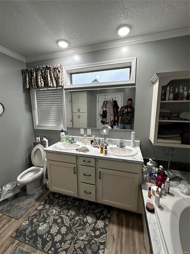 bathroom with a sink, wood finished floors, and crown molding