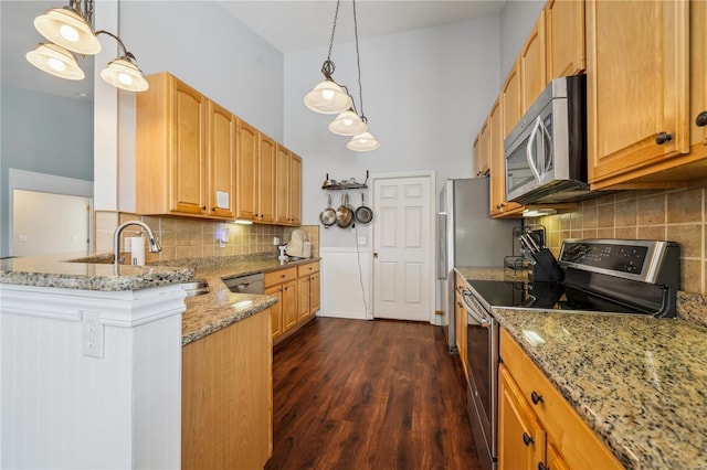 kitchen featuring dark wood-style floors, tasteful backsplash, light stone counters, a sink, and stainless steel appliances