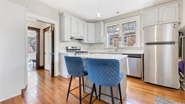 kitchen with light wood-style floors, a sink, appliances with stainless steel finishes, and under cabinet range hood