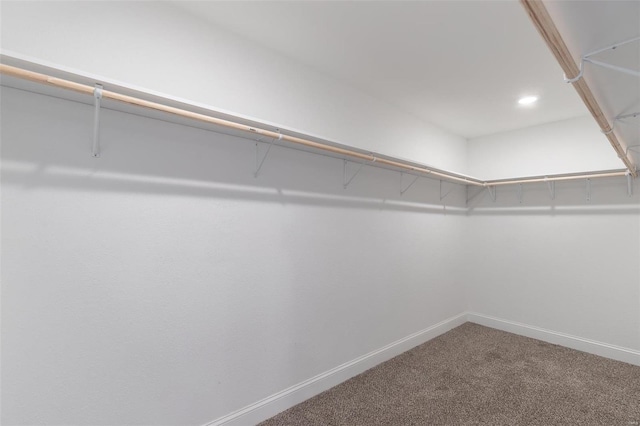 spacious closet with carpet flooring