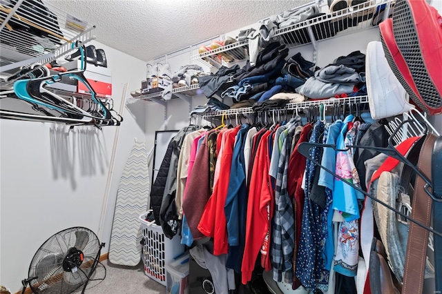 spacious closet featuring carpet floors