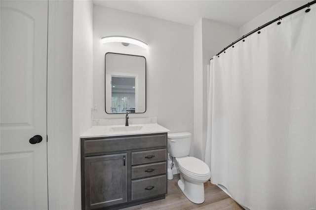 bathroom featuring toilet, vanity, and wood finished floors