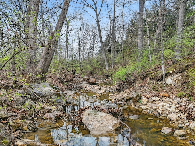 view of landscape featuring a view of trees