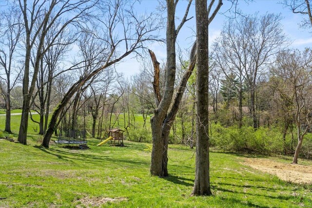 view of yard with a trampoline and playground community