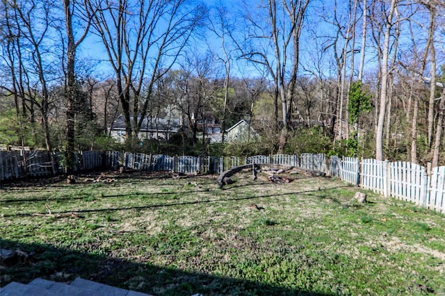 view of yard featuring a fenced backyard