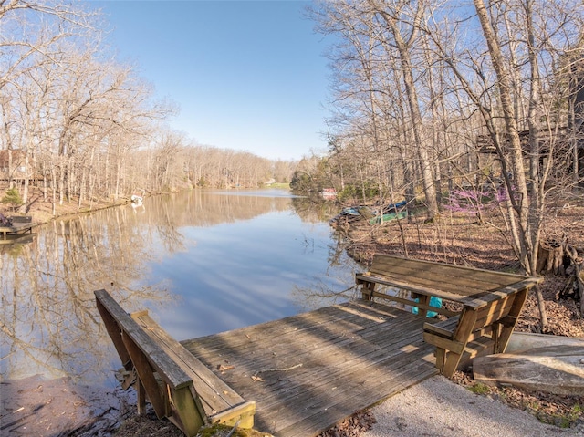 view of dock with a water view