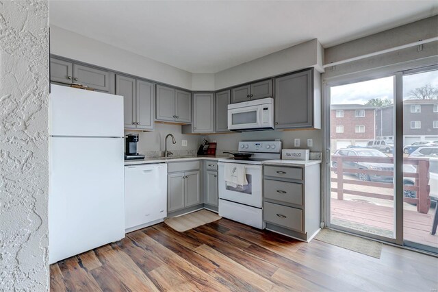 kitchen featuring light countertops, gray cabinets, wood finished floors, and white appliances