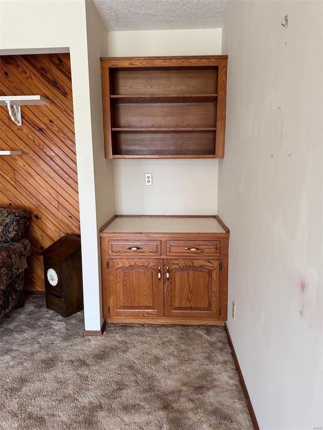 details featuring baseboards and carpet floors