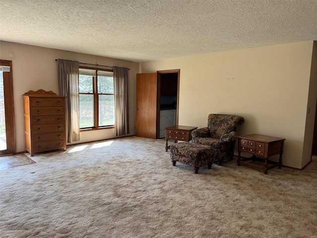 sitting room with carpet and a textured ceiling