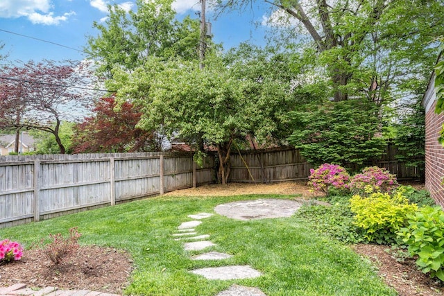 view of yard with a fenced backyard