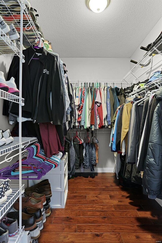 walk in closet featuring wood finished floors