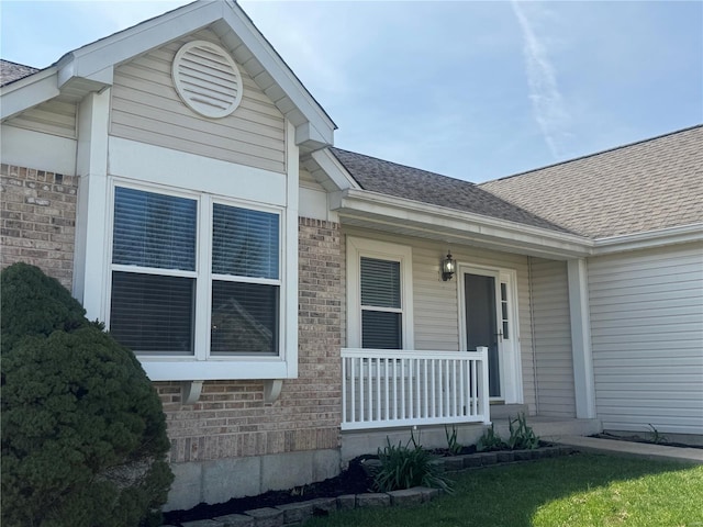 view of exterior entry with brick siding, a porch, and roof with shingles