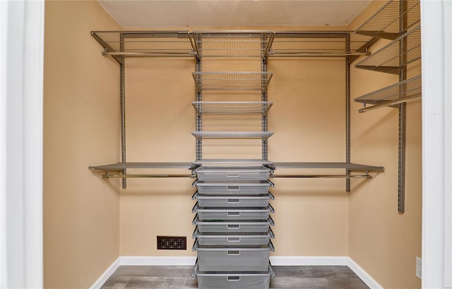 walk in closet featuring wood finished floors