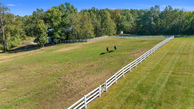 view of yard featuring fence, a rural view, and a forest view