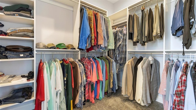 spacious closet featuring carpet