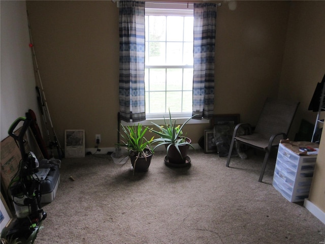 sitting room with carpet flooring and a healthy amount of sunlight