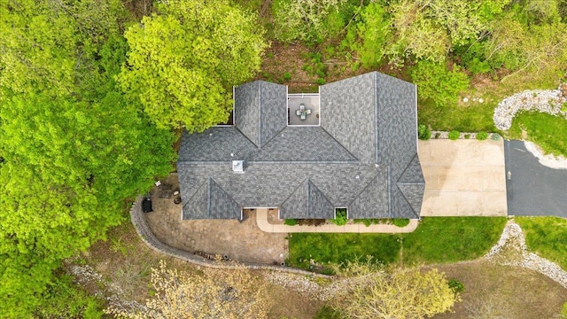 bird's eye view