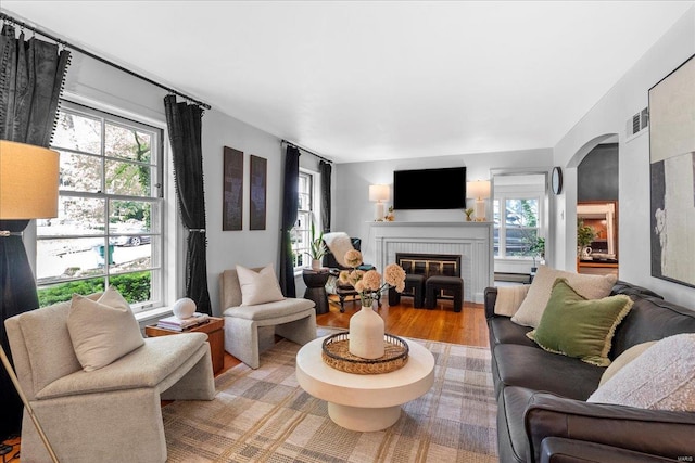 living room with wood finished floors, a healthy amount of sunlight, and a fireplace