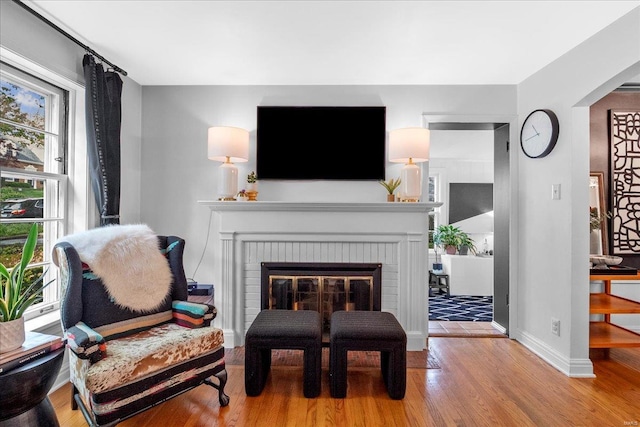 living room featuring baseboards, wood finished floors, and a fireplace