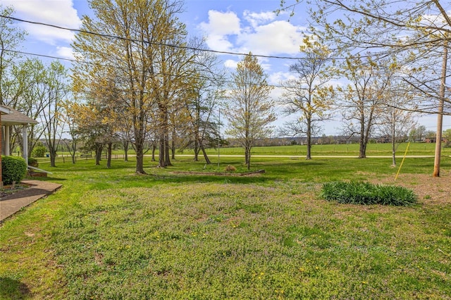 view of yard