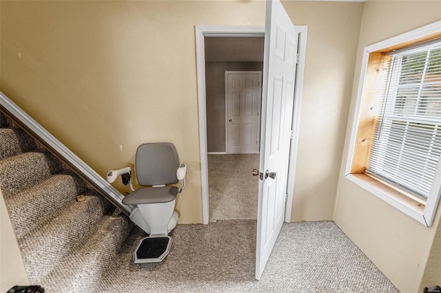 bathroom featuring toilet
