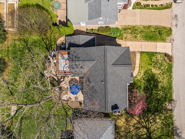bird's eye view