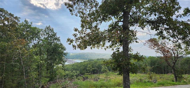 property view of mountains featuring a wooded view