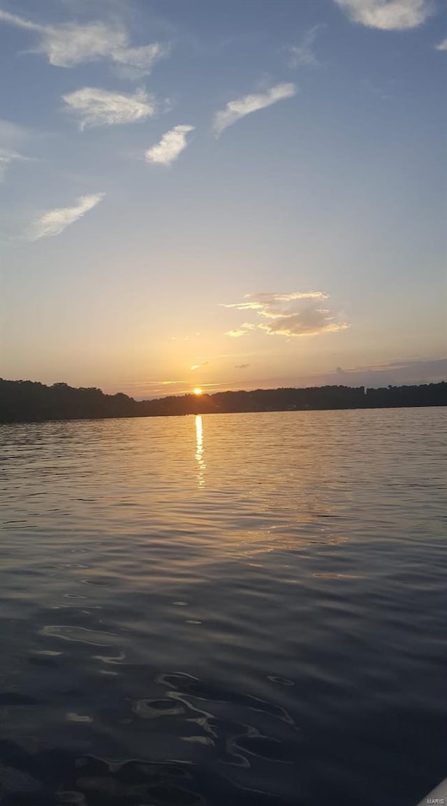 property view of water