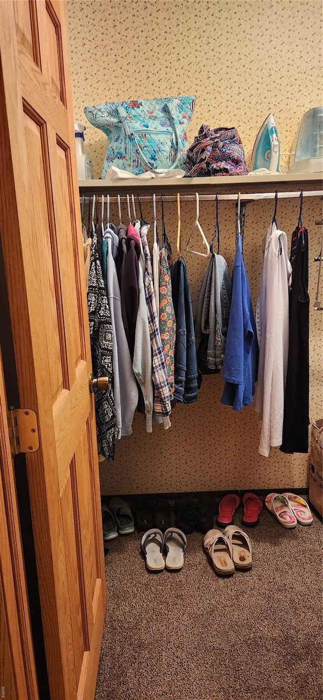 view of closet