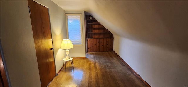 additional living space featuring wood-type flooring, baseboards, and vaulted ceiling