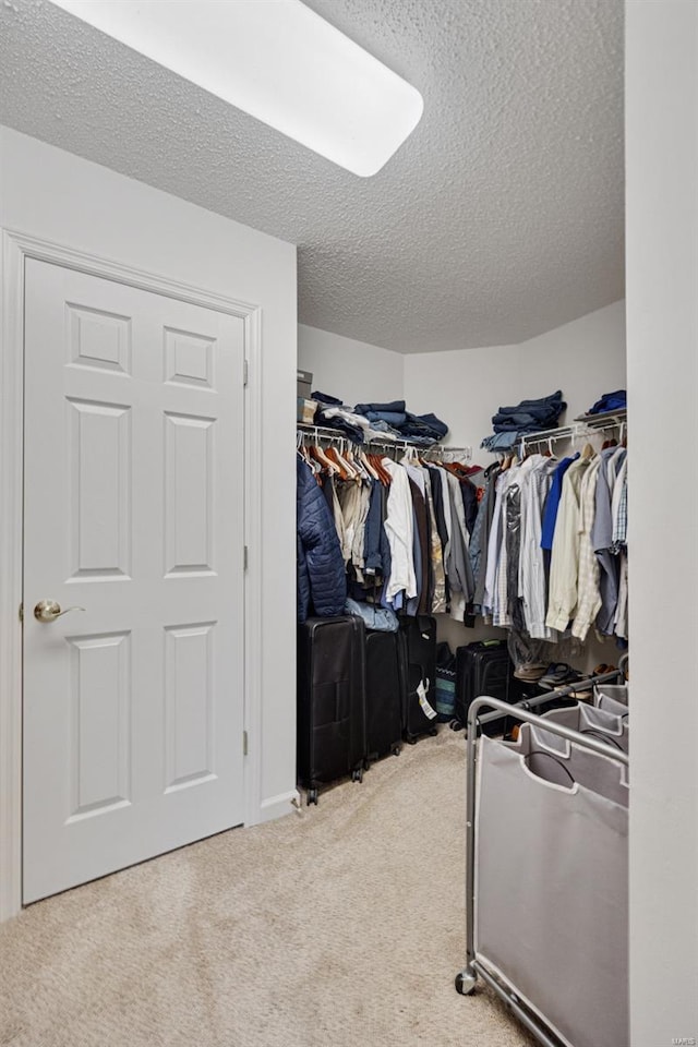 walk in closet featuring carpet flooring