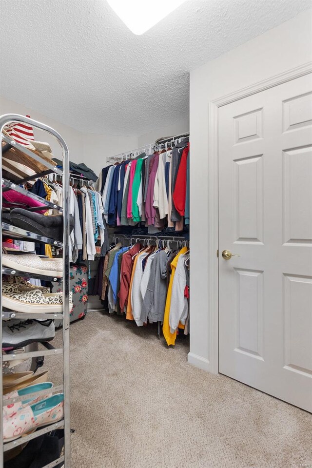 walk in closet featuring carpet flooring