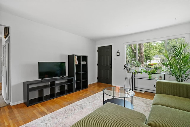 living room featuring baseboards and wood finished floors