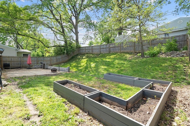 view of yard featuring a patio, a fenced backyard, and a vegetable garden