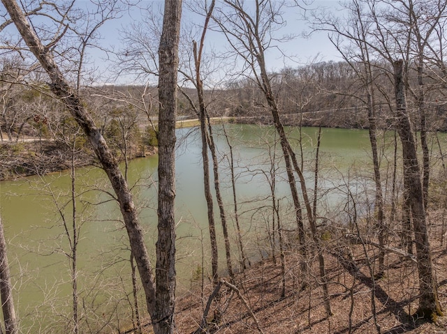 property view of water with a forest view