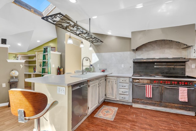 kitchen with tasteful backsplash, range hood, a sink, wood finished floors, and stainless steel appliances