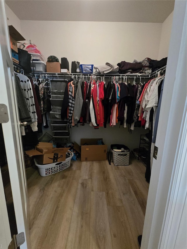 spacious closet featuring wood finished floors
