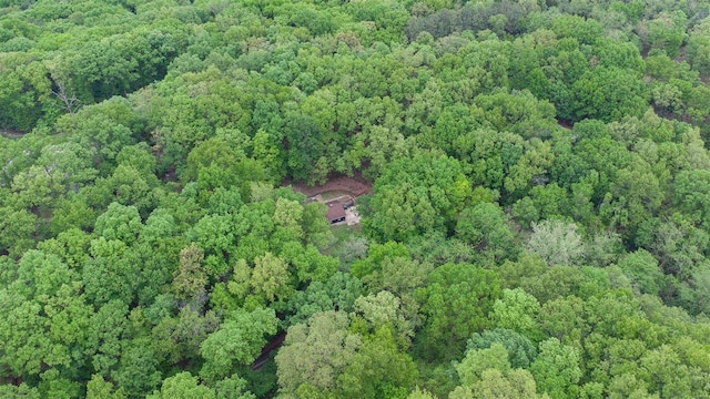bird's eye view featuring a view of trees