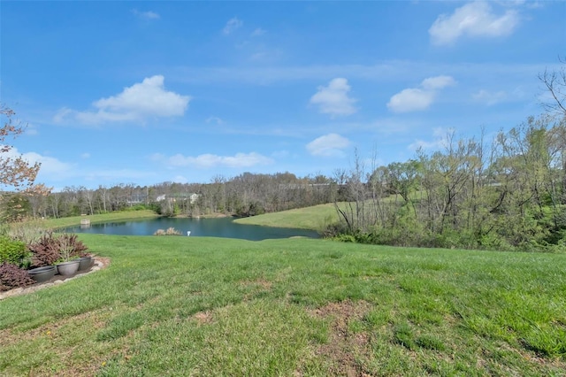 view of yard featuring a water view