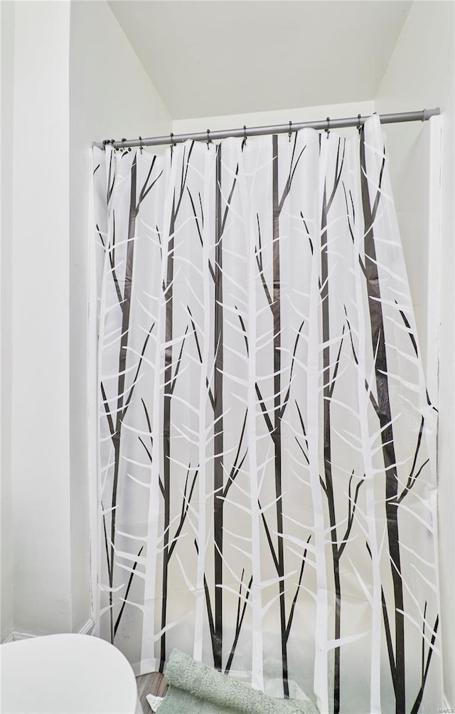 bathroom with a shower with shower curtain, toilet, and wood finished floors