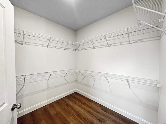 walk in closet with dark wood finished floors
