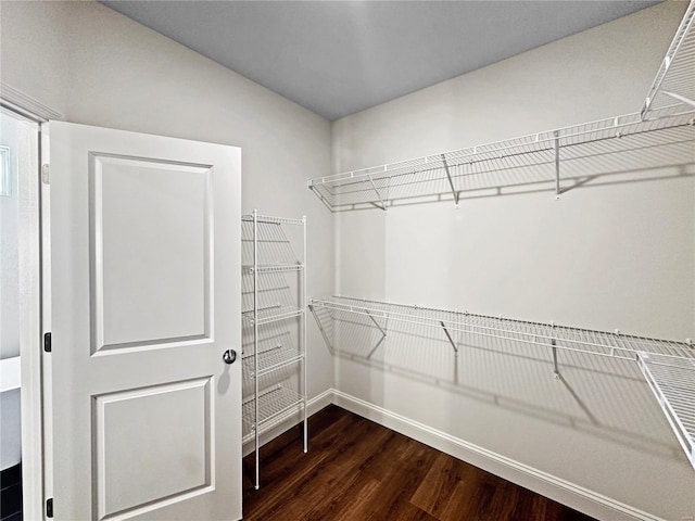 spacious closet featuring dark wood finished floors
