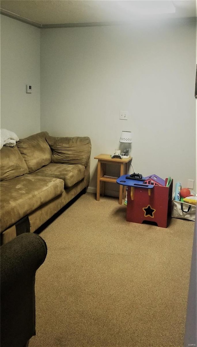 living room with carpet floors